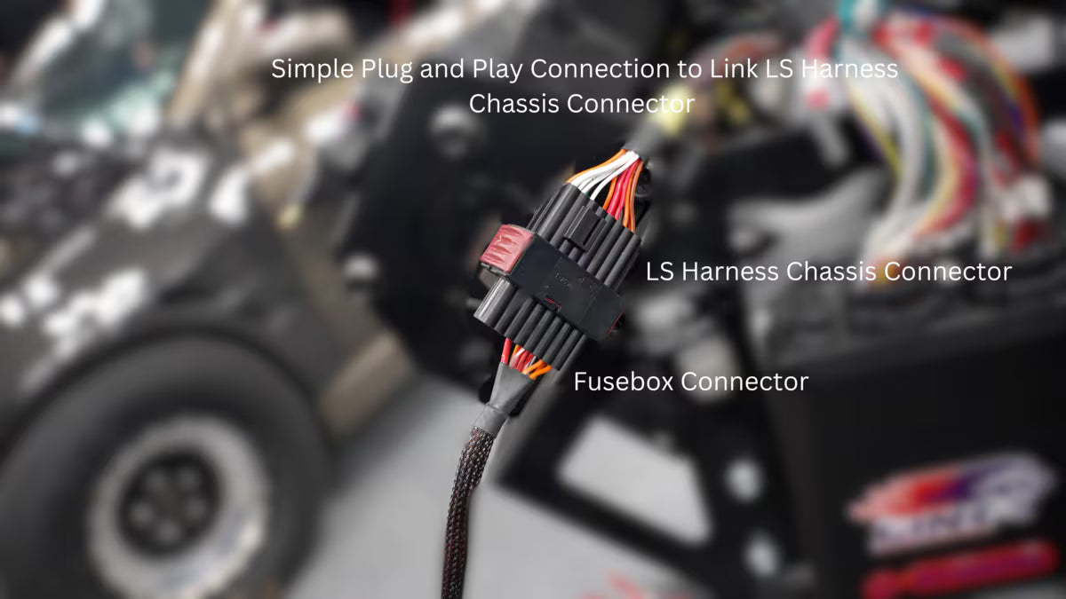 LS Harness - Fuse and Relay Box