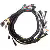 G4X Xtreme ECU + Terminated LS Engine Harness Drive-by-Wire Bundle