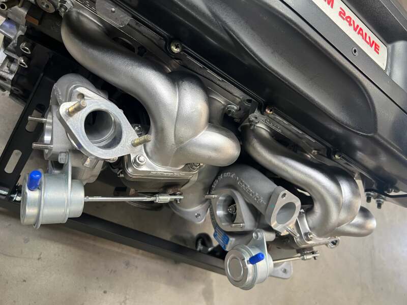 Photo - Close Up